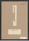 Synedra pulchella var. macrophala Grun. (de-Toni-Nr.: Genus 66, Species 2582) Zeichnungen Sammlung Grunow Nr. 5163 (NHMW-BOT-W0373484)